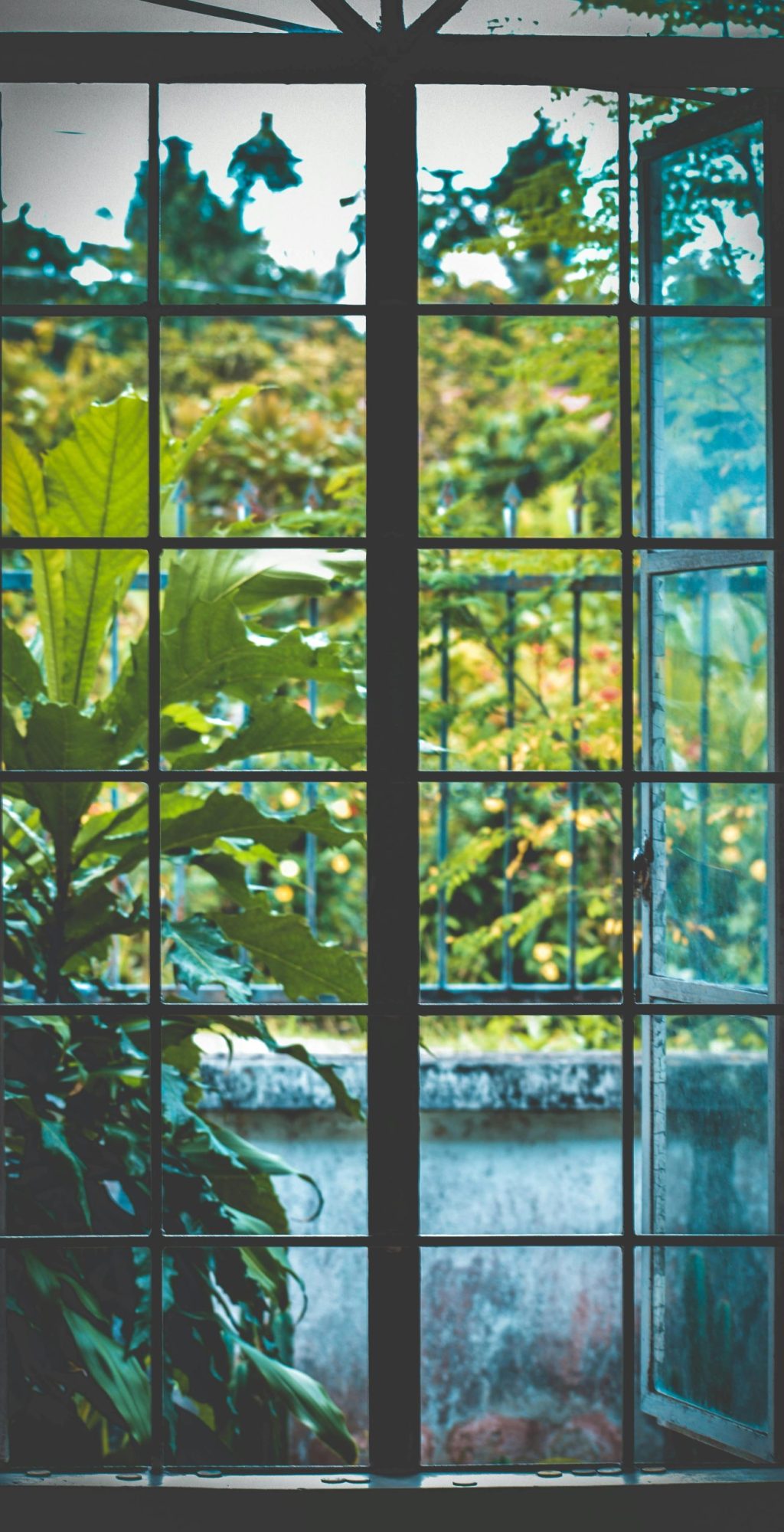 Lush garden seen through a metal-framed window with reflections and greenery.